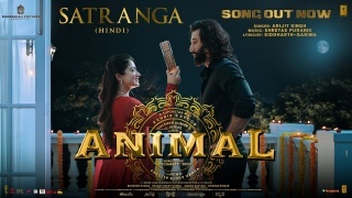 Satranga - Animal Ft Ranbir Kapoor