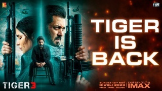Tiger Is Back - Tiger 3 Ft Salman Khan