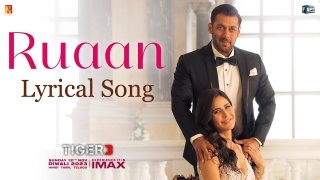 Ruaan - Tiger 3 ft. Salman Khan